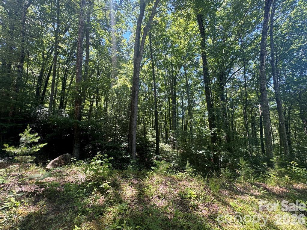 165 N Poplar Dr., Lake Lure, NC 28746