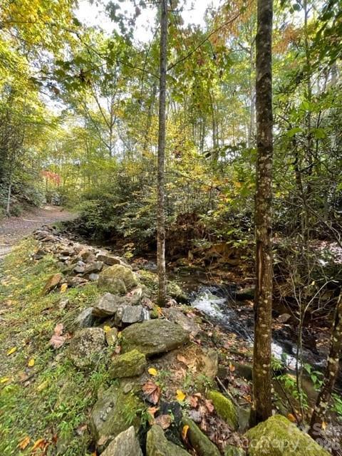 724 Blackgum Ct. ##350, Hendersonville, NC 28739