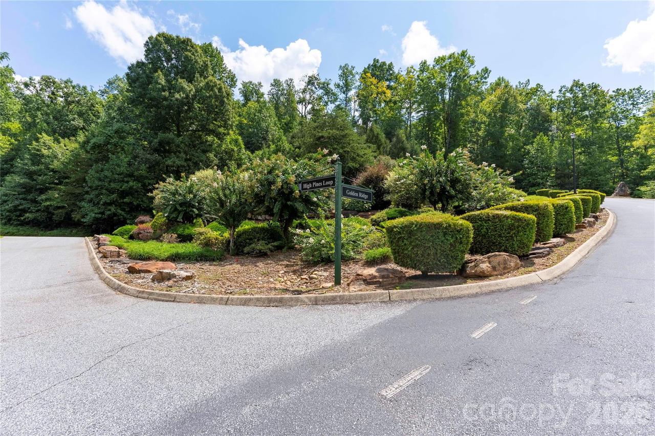 High Pines Loop #139 & 157, Lake Lure, NC 28746