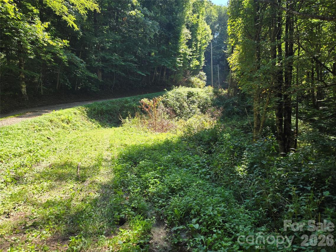 24 Tater Patch Rd., Maggie Valley, NC 28751