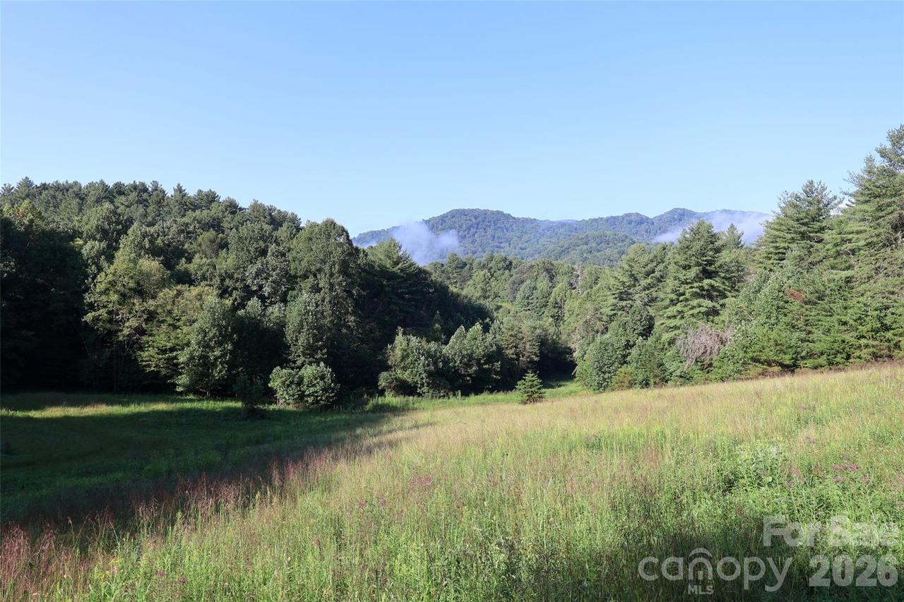 99999 Dream Valley Dr., Clyde, NC 28721
