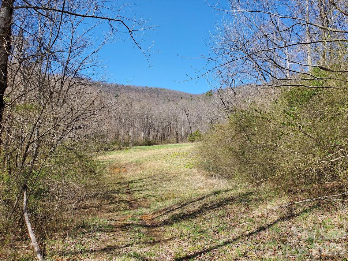 8057 Highway 16 Hwy., Moravian Falls, NC 28654