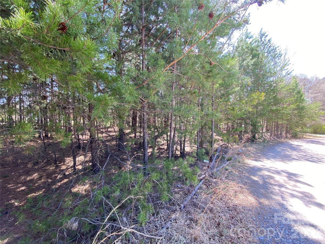 Next to 1670 Buck Oak Rd., Lincolnton, NC 28092