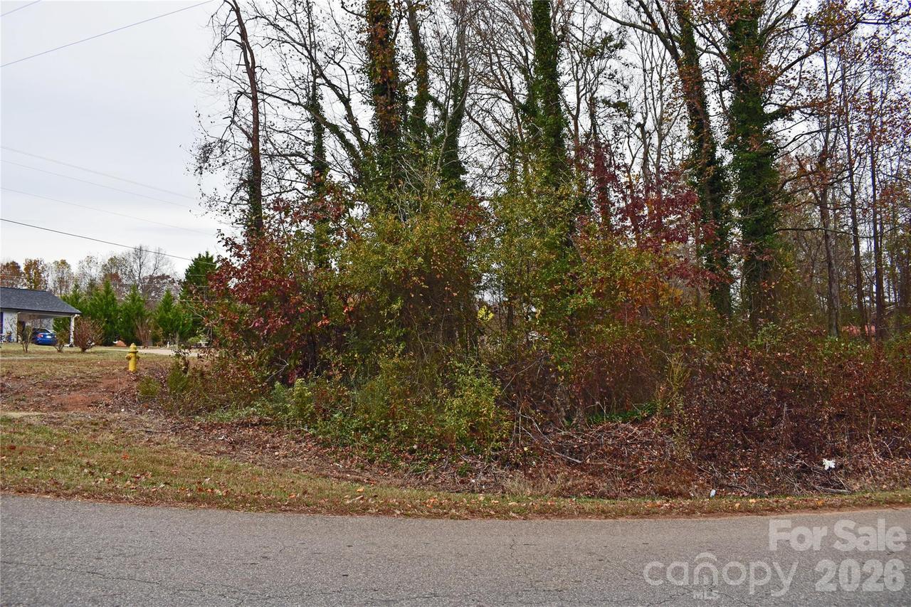 00 Horseshoe Lake Rd., Lincolnton, NC 28092