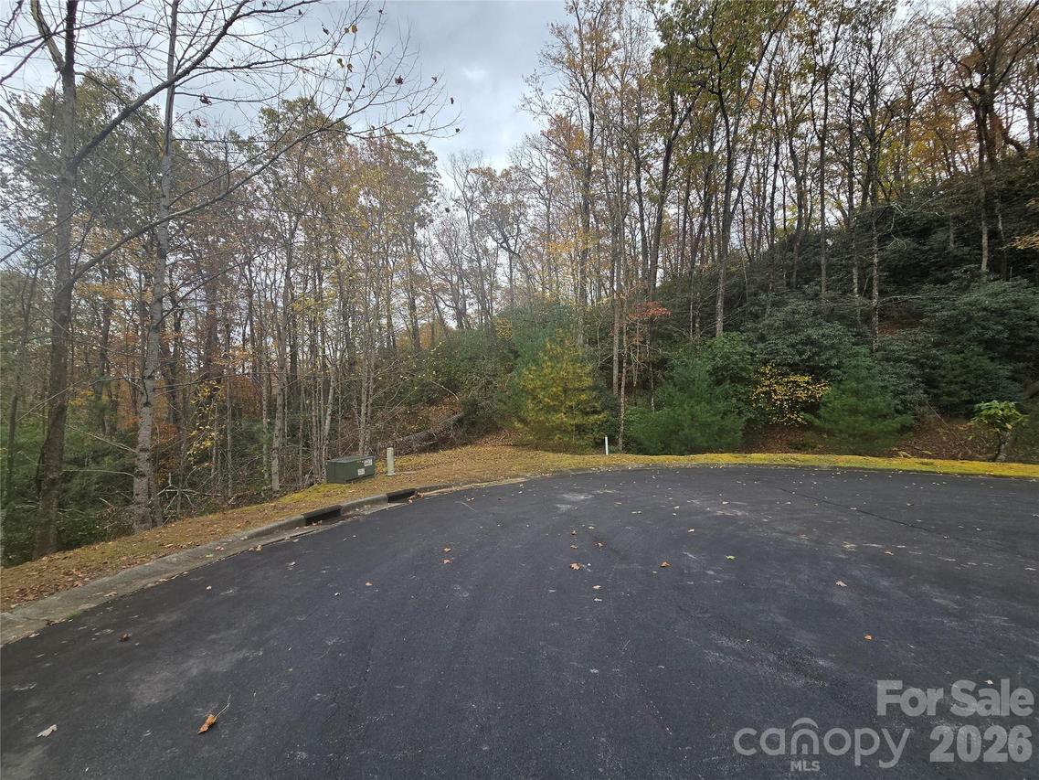 Shining Rock Path #17R, Mills River, NC 28742