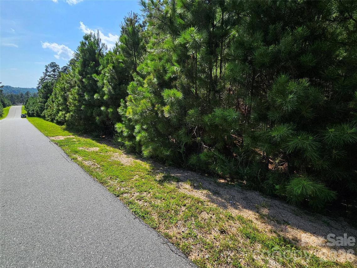 TBD Coveside Dr. #149, Granite Falls, NC 28630
