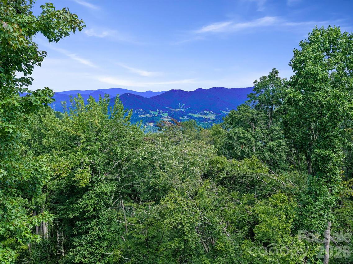 000 Winterberry Rd. #25, Burnsville, NC 28714