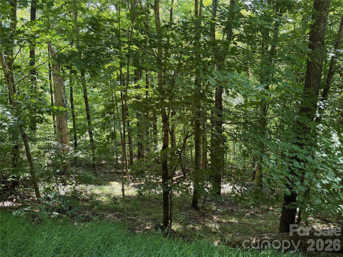 00 Chestnut Village Ln., Mars Hill, NC 28754