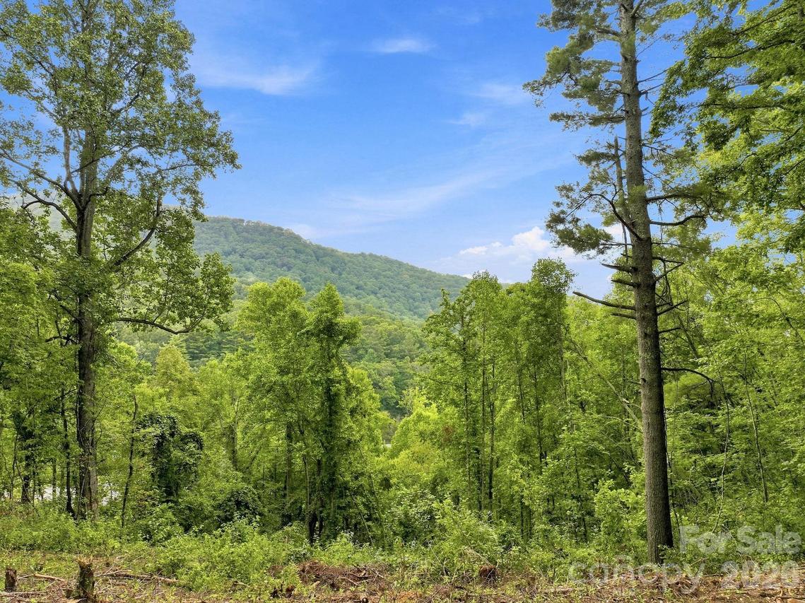 193 Fern Cove Ln., Gerton, NC 28735