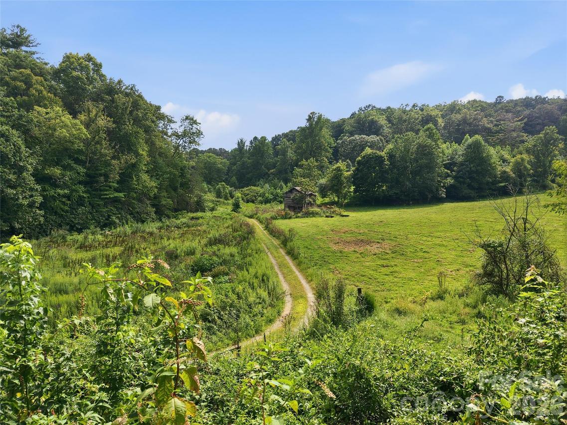 00000 Whippoorwill Ln., Leicester, NC 28748