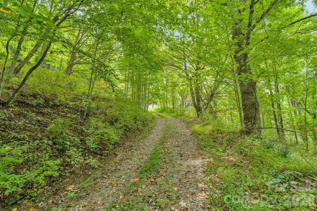 1768 Beaver Dam Rd., Vilas, NC 28692