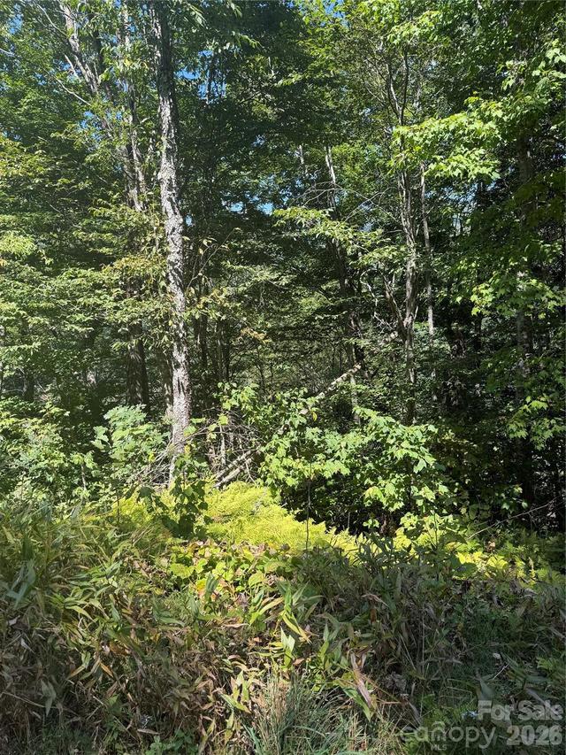 110 Chestnut Ln., Mars Hill, NC 28754