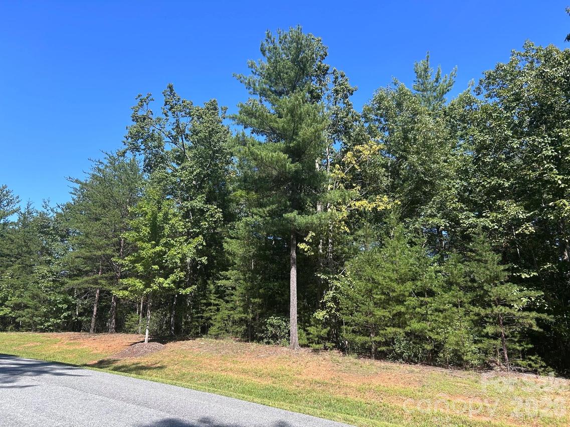256 Beacon Ridge Dr. #26-12, Nebo, NC 28761
