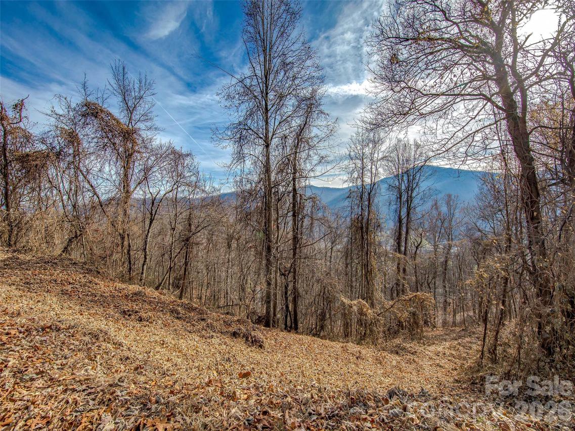 39 Grandview Cliff Heights, Maggie Valley, NC 28751