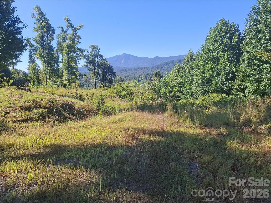 1 River Crest, Burnsville, NC 28714