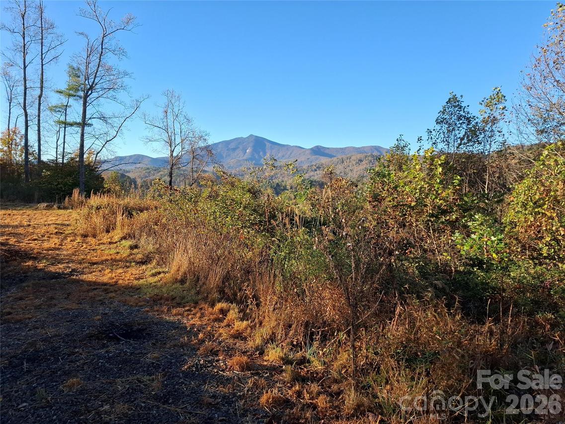 1 River Crest, Burnsville, NC 28714