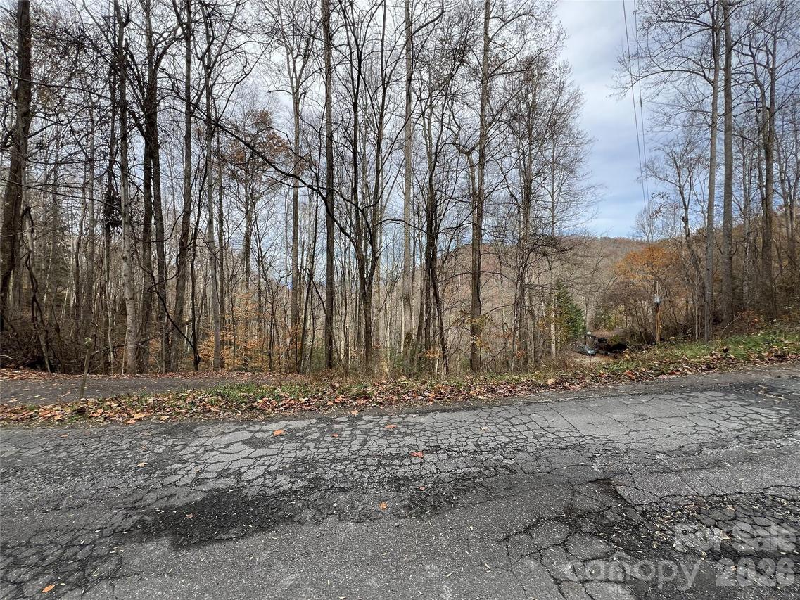 Lot 7 Deer Ridge Rd., Bryson City, NC 28713
