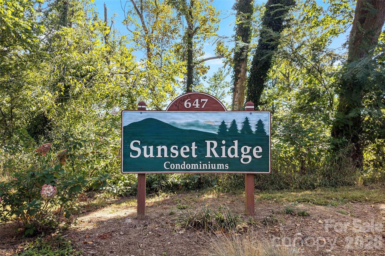 647 Town Mountain Rd. #407, Asheville, NC 28804