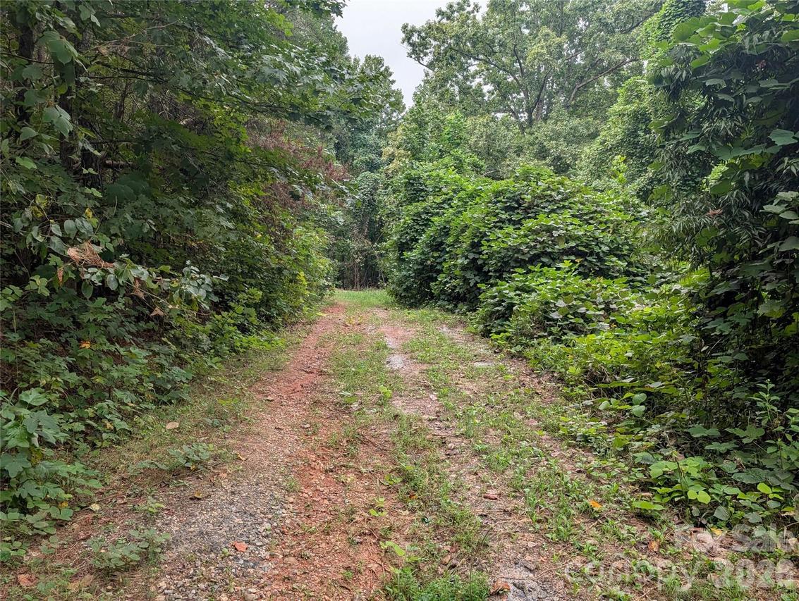 00 Pea Ridge Rd., Mill Spring, NC 28756