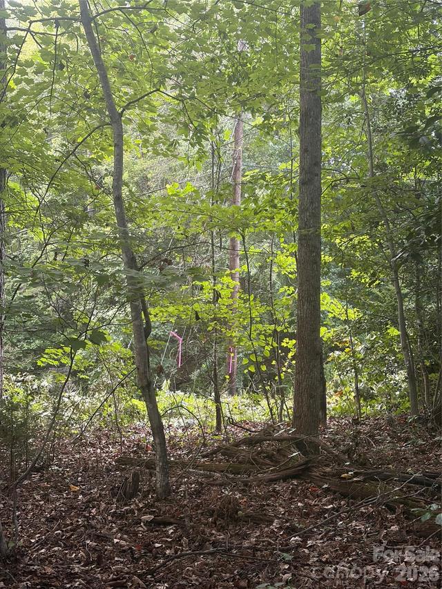 Lot 3 Edgewood Rd., Wilkesboro, NC 28697
