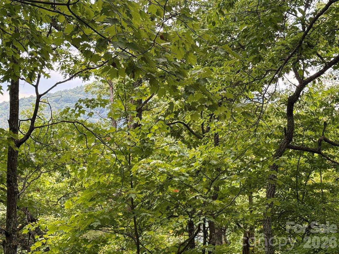 3315 Preserve Rd. #120, Sylva, NC 28779
