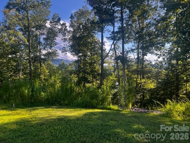 23 Mountain Pkwy., Mill Spring, NC 28756