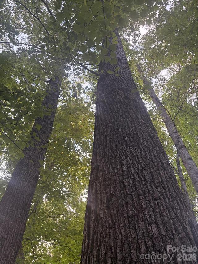 Lot 4 Edgewood Rd., Wilkesboro, NC 28670