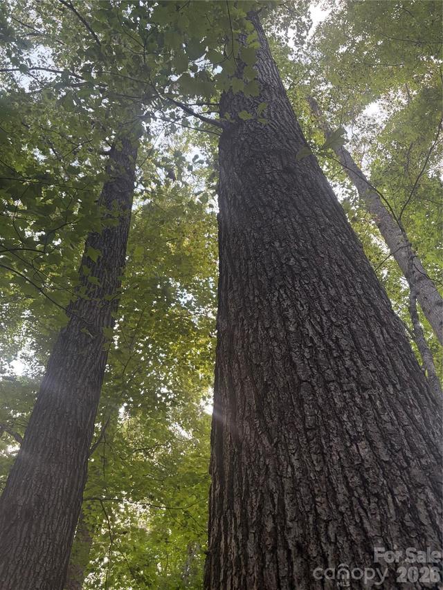 Lot 5 Edgewood Rd., Wilkesboro, NC 28697