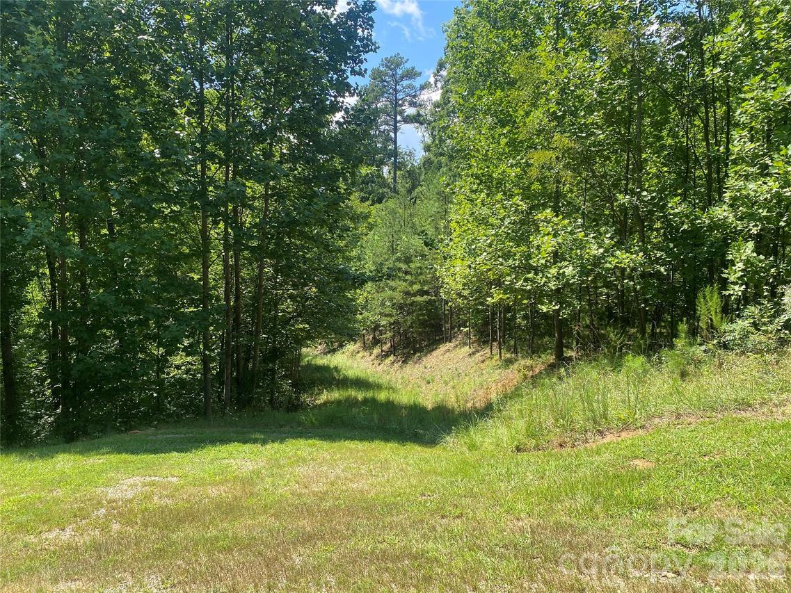 0000 Rock Ledge Dr., Lake Lure, NC 28746
