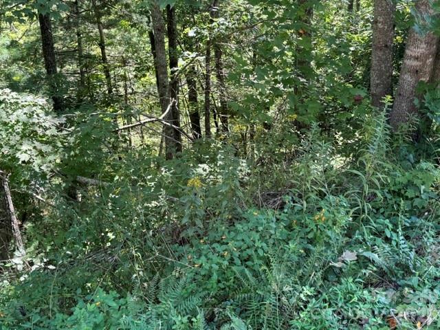 TBD Jarvis Dr., Hendersonville, NC 28792