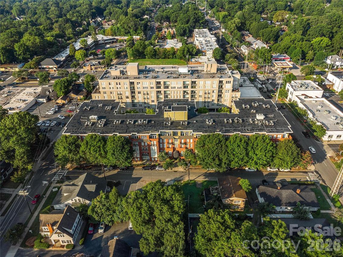 1320 Fillmore Ave. #113, Charlotte, NC 28203