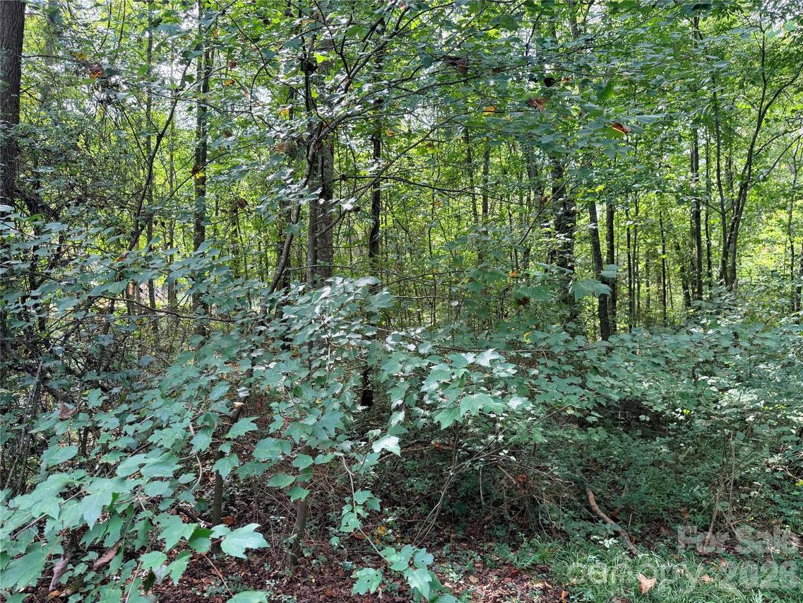 Carmi Ln., Salisbury, NC 28144