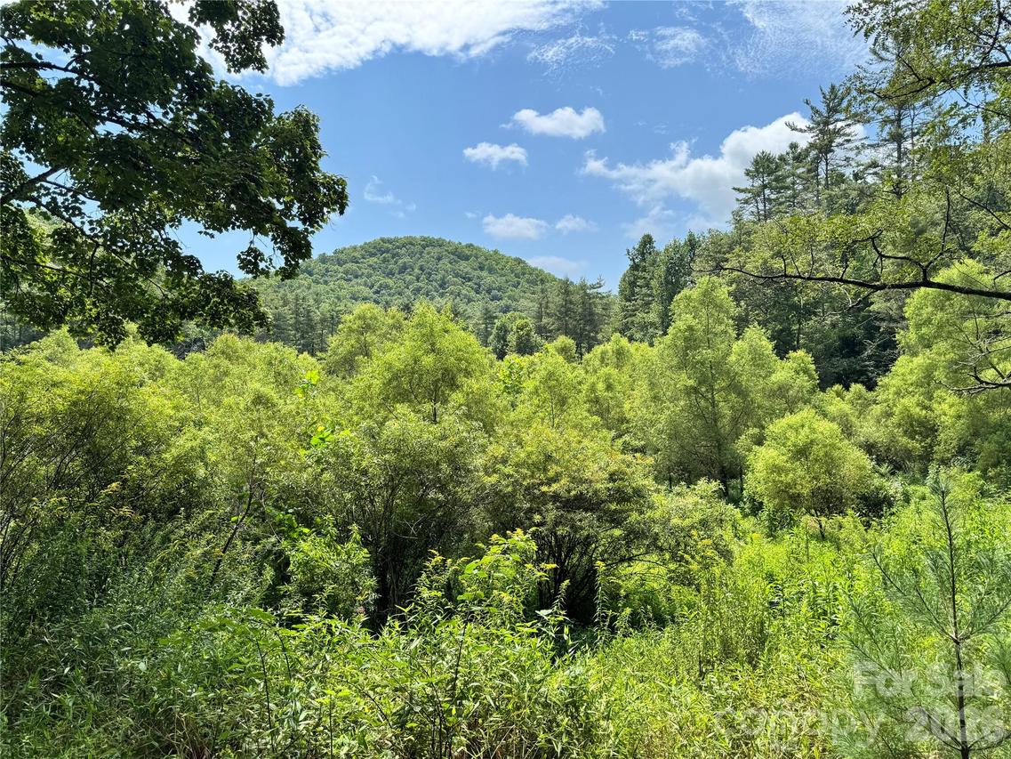 361 Rooster Cove, Brevard, NC 28712