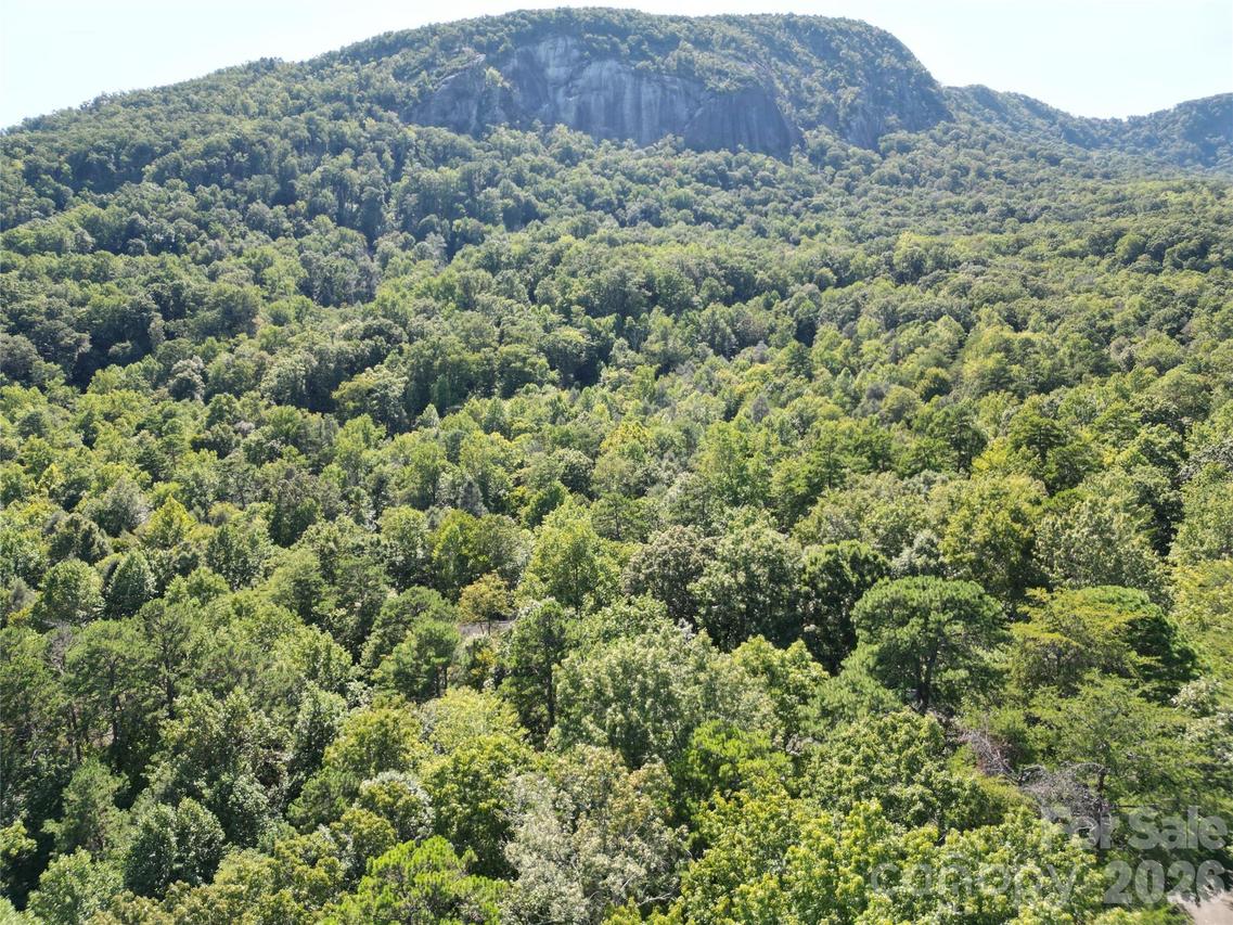 Lot 124, 125, & 101 Banjo Ct., Lake Lure, NC 28746