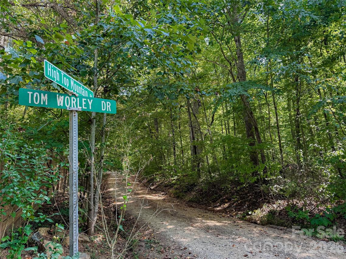 99999 High Top Mountain Rd. #Lot 1, Leicester, NC 28748