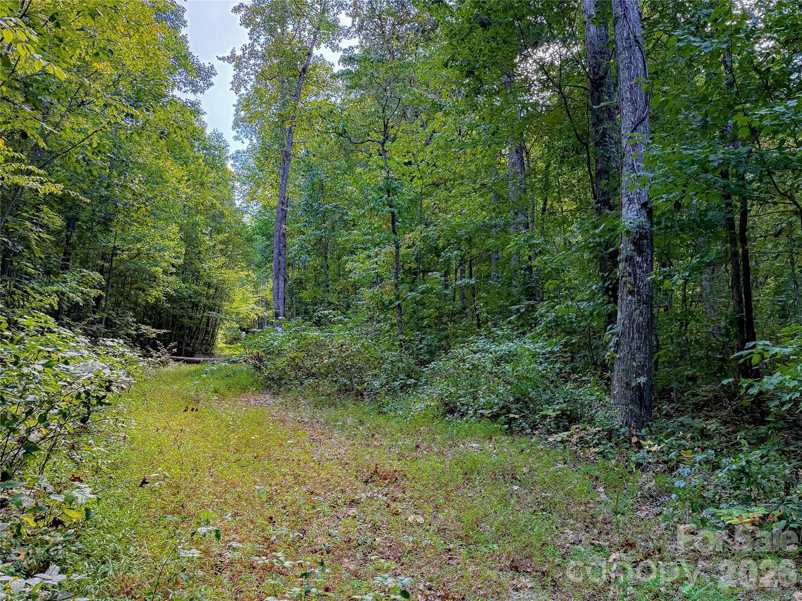 99999 High Top Mountain Rd. #Lot 2, Leicester, NC 28748
