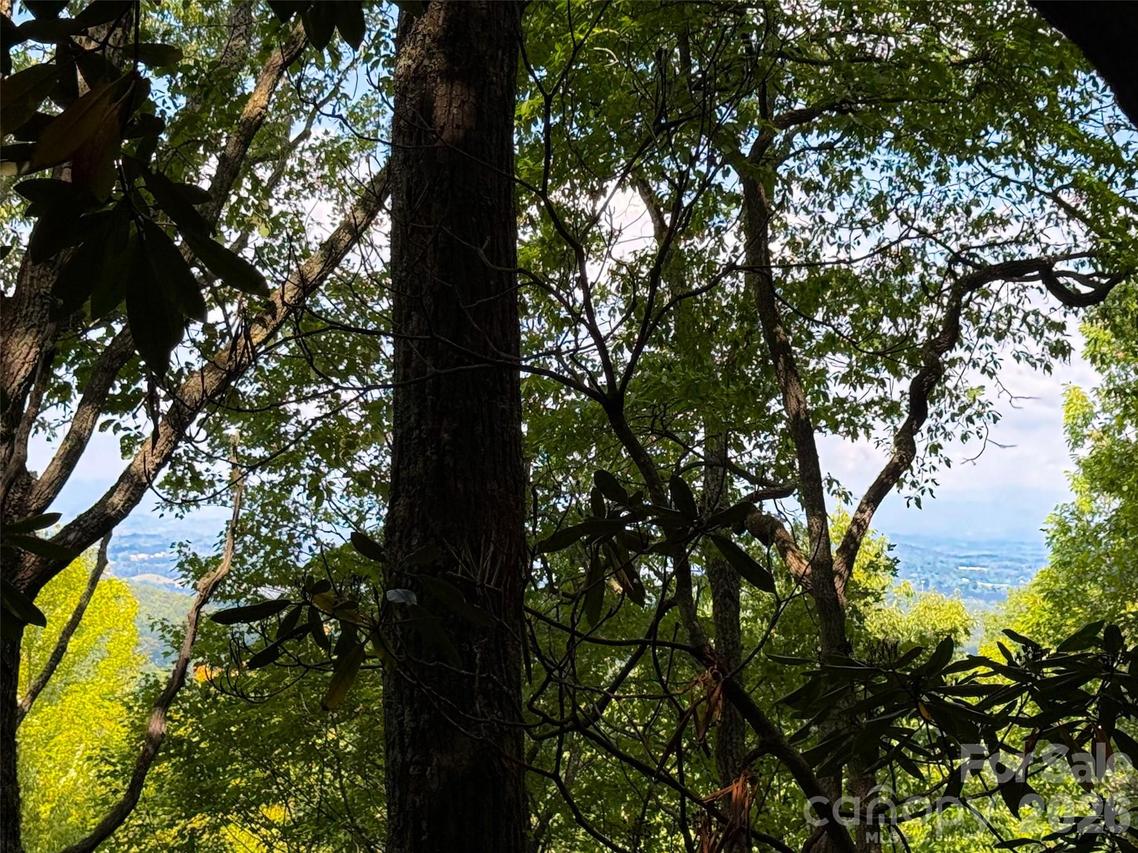99999 High Top Mountain Rd. #Lot 3, Leicester, NC 28748