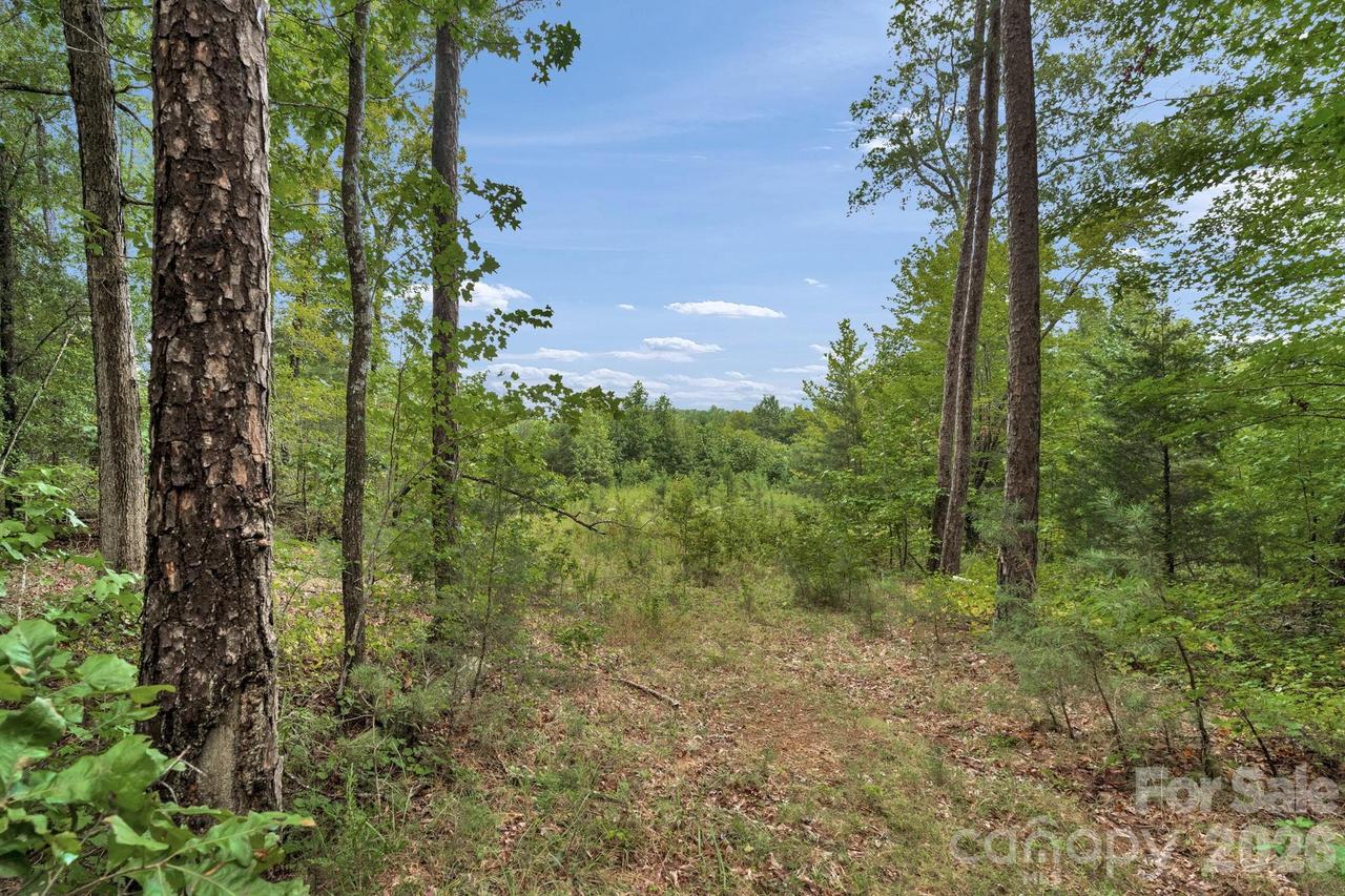 00 Mountain Rd., Cleveland, NC 27013