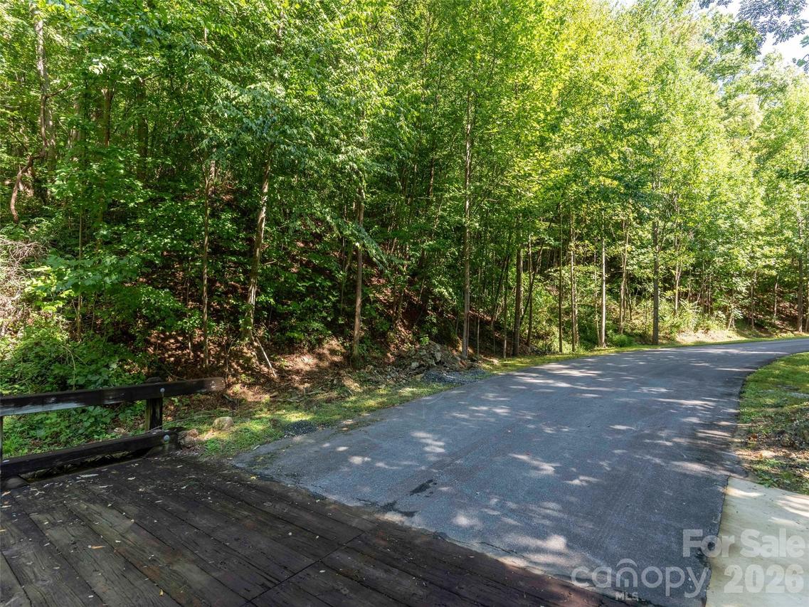 Harm Creek Loop #2142, Mill Spring, NC 28756