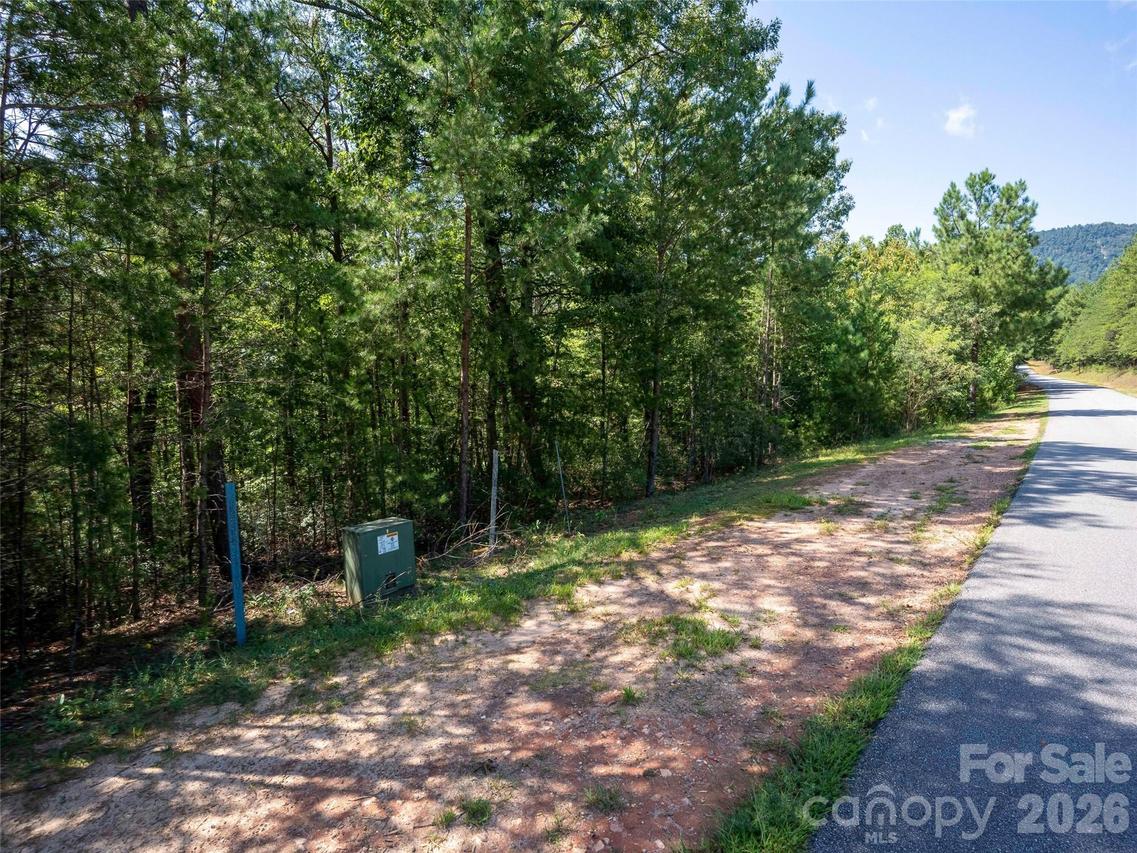 Deep Gap Farm Rd. #2007, Mill Spring, NC 28756