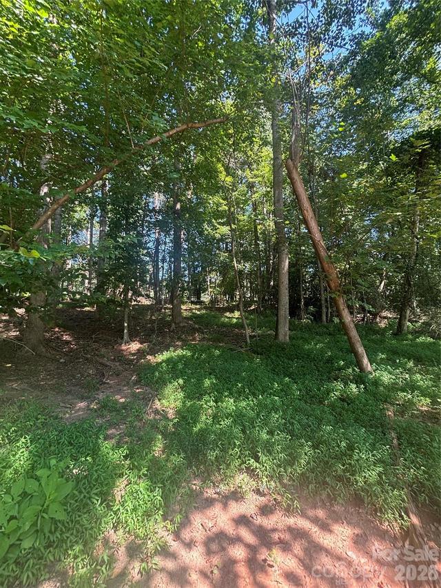000 Pineview Ct., Tryon, NC 28782