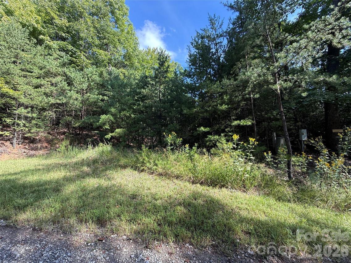 TBD Wolf Pen Rd. #24, Purlear, NC 28665