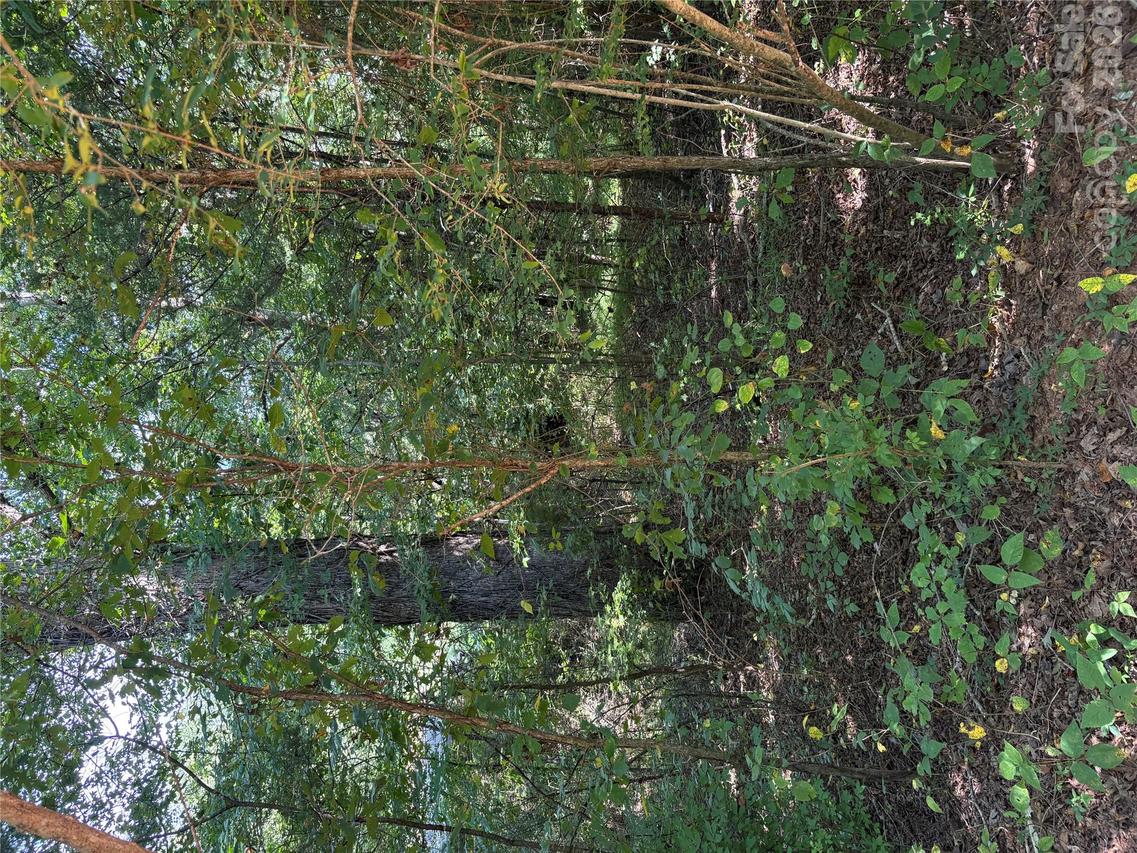 TBD Bedford Creek Rd., Ellenboro, NC 28040