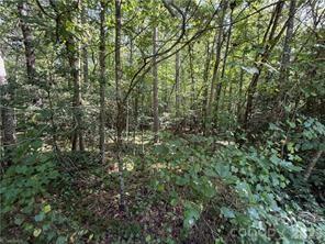 Lot 20 & 21 Zinzendorf Ln. #20 & 21, Moravian Falls, NC 28654