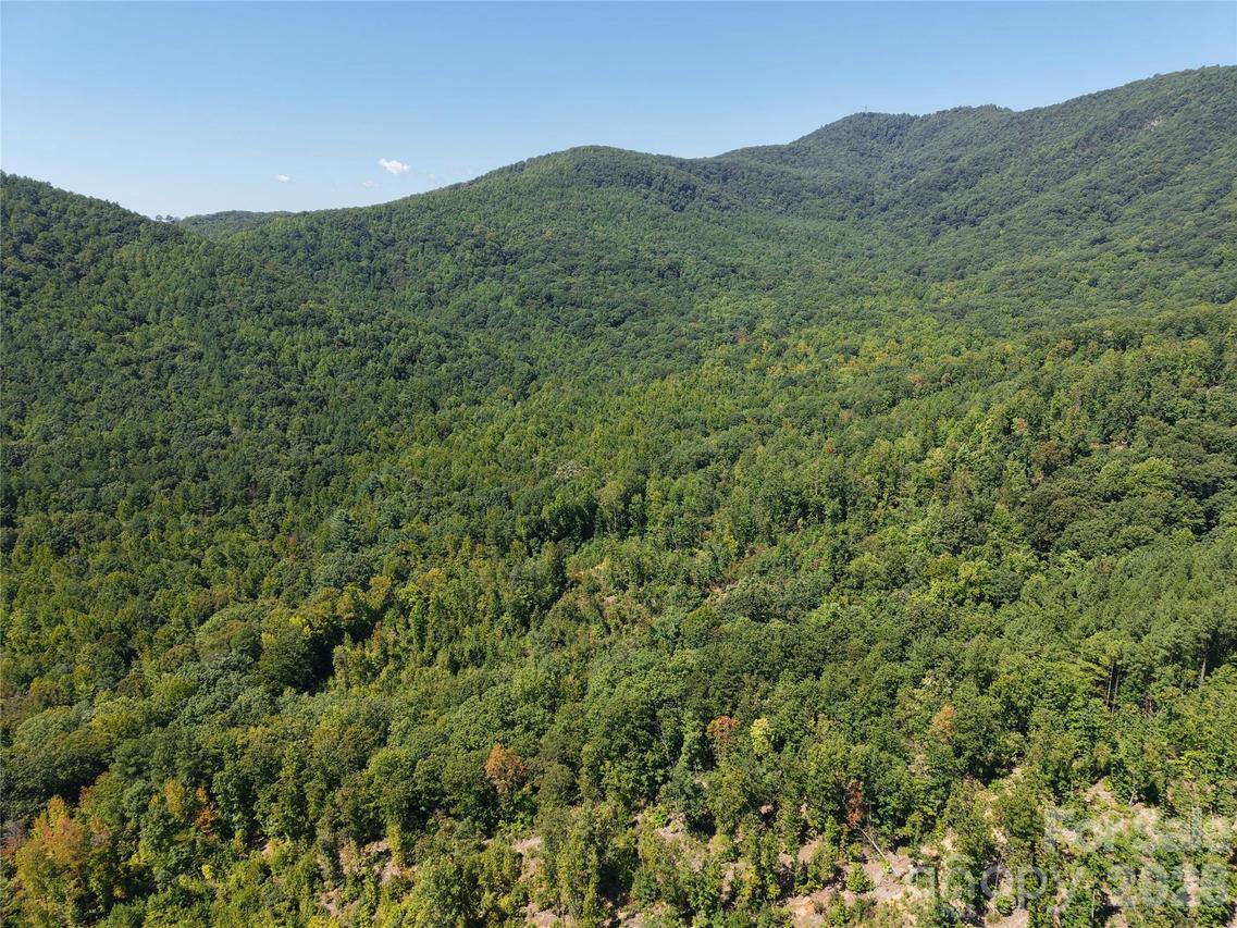 00 Camp Knob Rd., Casar, NC 28020