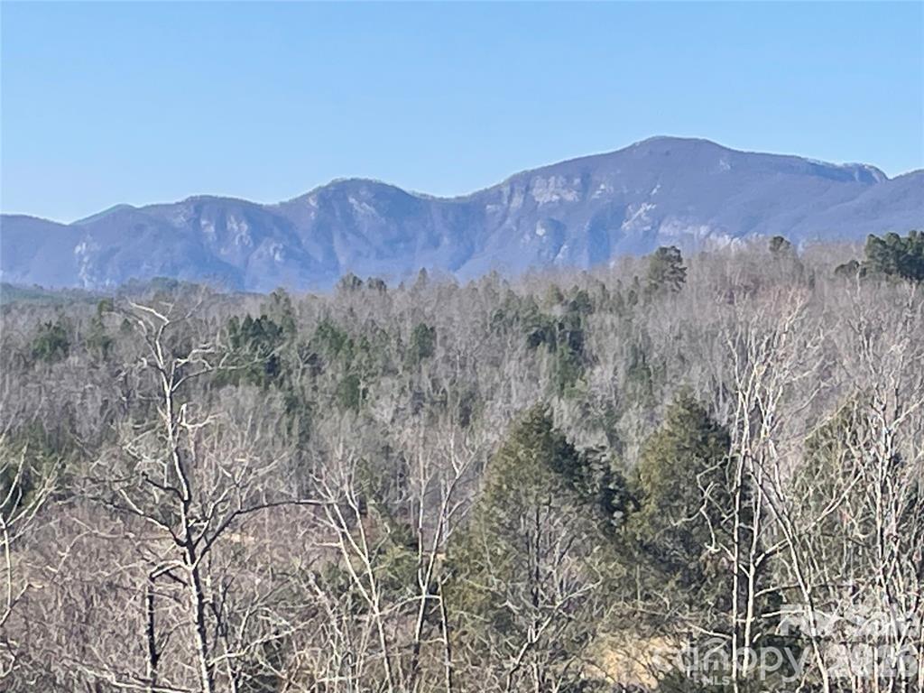 S Cross Creek Tr. #17, Mill Spring, NC 28756