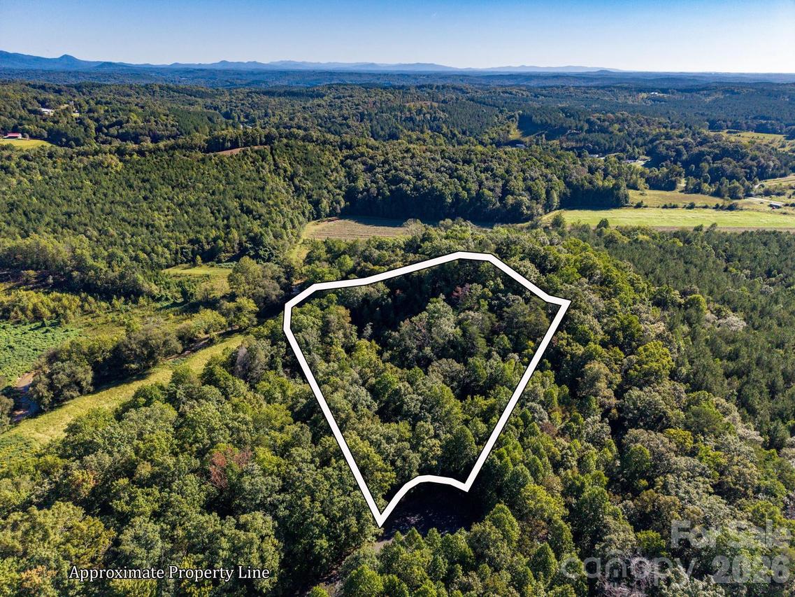 S Cross Creek Tr. #17, Mill Spring, NC 28756