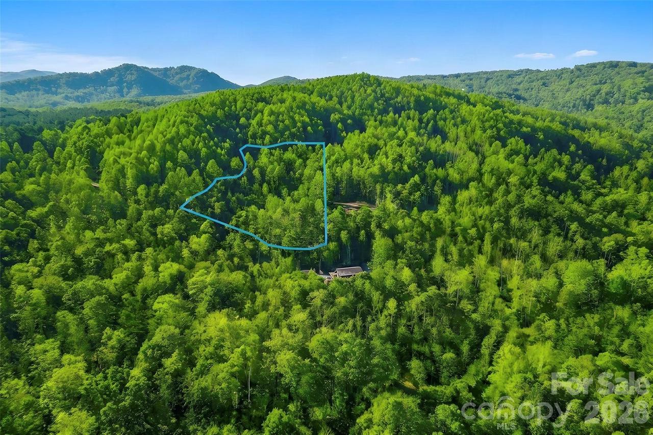 000 Jill Dr., Nebo, NC 28761