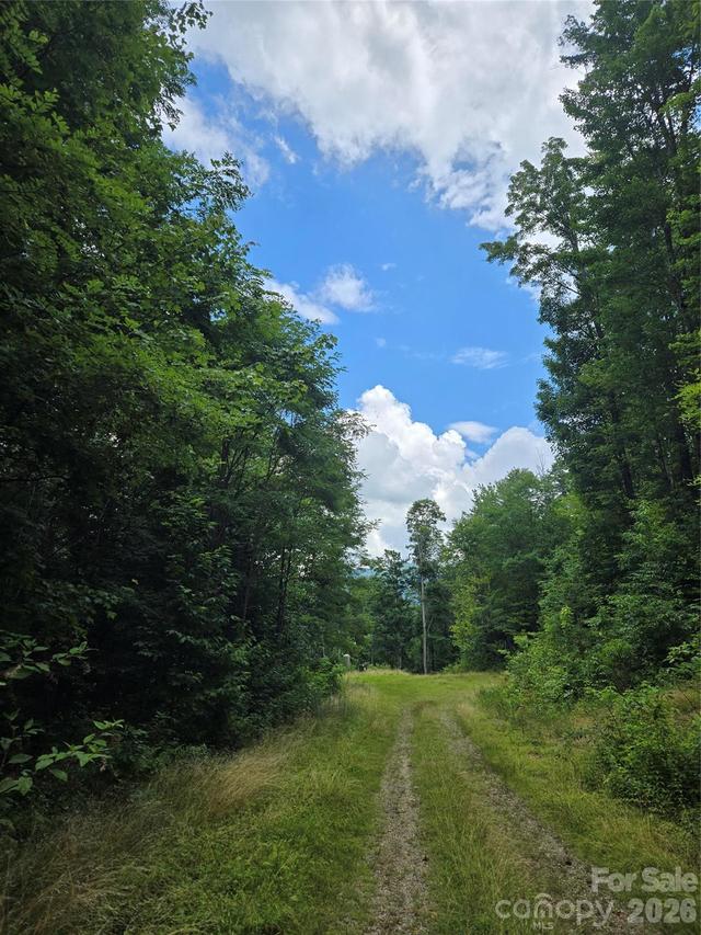 102 Tenderfoot Tr. #102 & 103, Maggie Valley, NC 28751