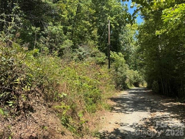 TBD Doris Lisa View Dr., Hendersonville, NC 28792